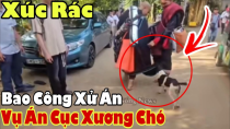 Thumbnail for XỬ ÁN - Xúc Rác Trùm Đại Ca Đoàn Du Lịch Ăn Xin Từ Thiện Minh Tuệ Dụ Án CỤC XƯƠNG 🐕 | Lực Tàng