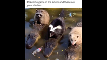 Thumbnail for Pokémon game in the south and these are your starters | FunnyMemeSpot