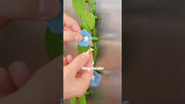 Thumbnail for 3d Printable Kitchen Hacks | ForgeCore