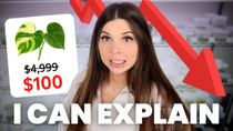 Thumbnail for I accidentally crashed the rare plant market | Plants in Jars