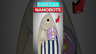 Thumbnail for Scientists Just Cured Paralysis By Regenerating Spinal Cords | Dr Ben Miles