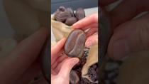 Thumbnail for Coffee Bean! ☕️ The perfect amount of espresso in every bite! #amauryguichon #chocolate #coffee | Amaury Guichon