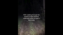 Thumbnail for POV: walking through the forest at night blasting white girl music to make it less scary | FunnyMemeSpot Backup