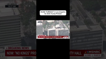 Thumbnail for HUGE TURNOUT in LA for anti-Trump protest