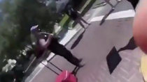 Thumbnail for Sheboon gets hit trying to block traffic