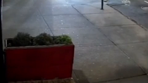 Thumbnail for NYC Zoomer Plays IRL Minecraft
