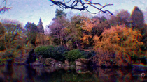Thumbnail for LSD Peak Simulation Replication | Wooodfield