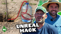 Thumbnail for Pro Gardeners React To Futuristic Gardening Hacks | Epic Gardening