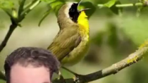 Thumbnail for Plants don't like rap music