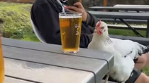 Thumbnail for My spirit animal