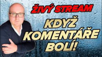 Thumbnail for Živák: Co už je moc a co mě štve | Plus pokec s diváky | Pan Plešatý