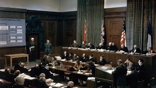 Thumbnail for David Wilcock: Deep State Tribunals Underway, Tree-Fall Synchronicity