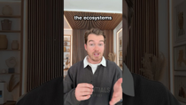 Thumbnail for The Wallace Line | Thomas Mulligan
