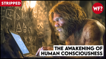 Thumbnail for The Awakening of Human Consciousness | Forbidden Fungus (STRIPPED) | The Why Files