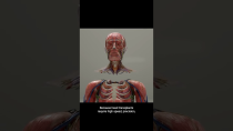 Thumbnail for Head Transplant Machine 😨 Surgeon Reacts | Dr. Michael Gartner FACS Plastic Surgeon