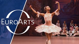 Thumbnail for Tchaikovsky - The Nutcracker: Sugar Plum Fairy, Pas de Deux, Waltz of the Flowers | Best Dances