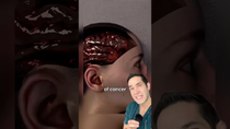 Thumbnail for Doctor Reacts: cell phones cause cancer?! | Doctor Myro
