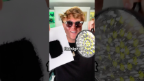 Thumbnail for Darkest Paint vs. Brightest Flashlight | Kyle Krueger