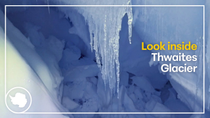 Thumbnail for Descend into Thwaites Glacier | footage reveals internal crevasses | British Antarctic Survey