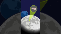 Thumbnail for How Tardigrades Landed on the Moon | Cleo Abram