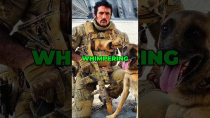 Thumbnail for What Happened When Delta Force Cornered the World’s Most Wanted Terrorist? #usa #military #shorts | American Military Network "AMN"