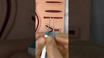 Thumbnail for Giant Needles for Microchipping 😱 #goodtoknow #microchip #needle #surgeonlife #vet #medicine #hack | Vetventures