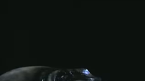 Thumbnail for TOOL - Prison Sex