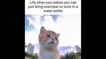 Thumbnail for Life when you realize you can just bring everclear to work in a water bottle | FunnyMemeSpot Backup