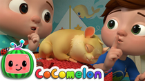 Thumbnail for Class Pet Sleepover | CoComelon Nursery Rhymes & Kids Songs | Cocomelon - Nursery Rhymes