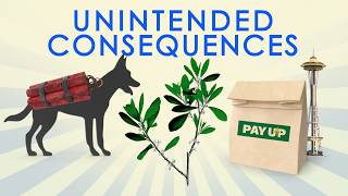 Thumbnail for Great Moments in Unintended Consequences: Seattle PayUp Law, Dog Bombs, Colombian Coca (Vol. 21) | ReasonTV