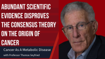 Thumbnail for Scientific Evidence That Disproves the Consensus Theory on the Origin of Cancer | Talking Cancer With Professor Thomas Seyfried 