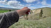 Thumbnail for Volcanic Mudflow from Cascades Volcano | Nick Zentner