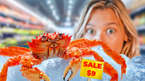 Thumbnail for Raising a Grocery Store King Crab as a Pet | Aquarium Info