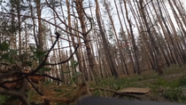Thumbnail for Russian soldier ambushed a Ukrainian fiber optic FPV drone to cut the cable with scissors.