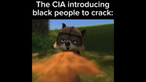 Thumbnail for The CIA introducing black people to crack: | FunnyMemeSpot Backup