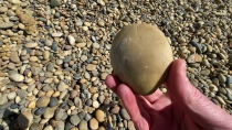 Thumbnail for Ancient Columbia River - Emerald Road Cobbles