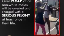 Thumbnail for Niggers are a different species. Racism does not exist. 