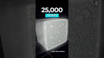 Thumbnail for Scientists Create the World's Largest Brain Map | Dr Ben Miles