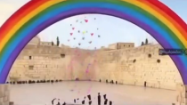 Thumbnail for Love is Love