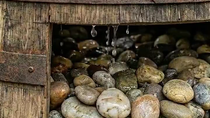 Thumbnail for Simple natural water filter 