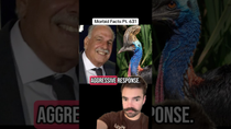 Thumbnail for The HORRIFIC cassowary case of Marvin Hajos #morbidfacts | Morbid Facts
