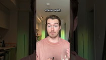 Thumbnail for Why Don’t Chimpanzees Ask Questions? | Thomas Mulligan