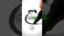 Thumbnail for The Truth Behind The VIRAL Trapped Ant... 🤯🧠 | BoltMotivation