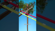Thumbnail for How Birds Avoid Electrocution 😨 | Zack D. Films