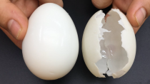 Thumbnail for Don't Boil Eggs Directly In Water. Here's The Five-Star Hotel Way To Boil Eggs! | Top DIY