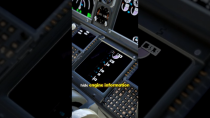 Thumbnail for Why Boeing 737 Pilots Hide Engine Information?! | LuxPlanes