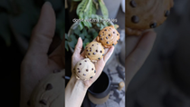 Thumbnail for No Cookies for You | SorrelsSouls