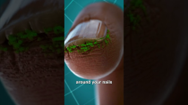 Thumbnail for Why You Shouldn't Bite Your Nails 😖 | Zack D. Films
