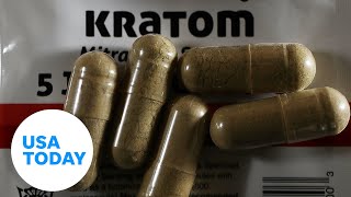 Thumbnail for What is kratom and is it addictive? The controversial supplement, explained | USA TODAY
