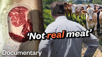 Thumbnail for Why lab-grown meat is so controversial | ReasonTV